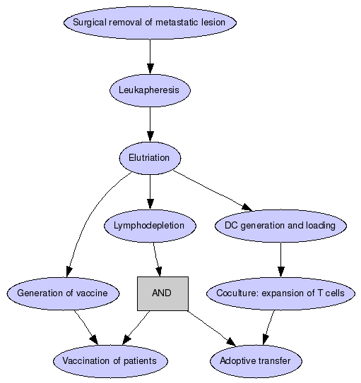 Phase I clinical trial protocol in patients with advanced (stage III or IV) melanoma Graph