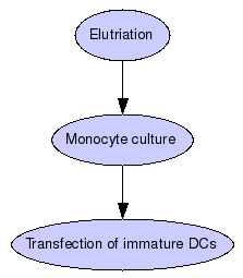 Monocyte enrichment by elutriation technology with ELUTRA(R) Graph