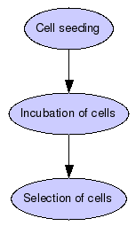 Lentiviral infection of target cells Graph