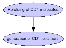 Protocols to refold in vitro CD1 molecules, which were used for the generation of CD1 tetramers  Graph