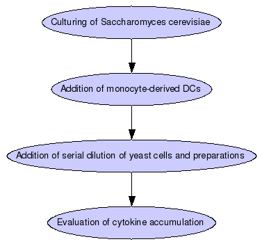 Stimulation of monocyte-derived DCs Graph